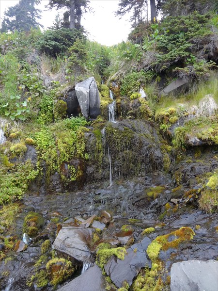 Охотское Море 198